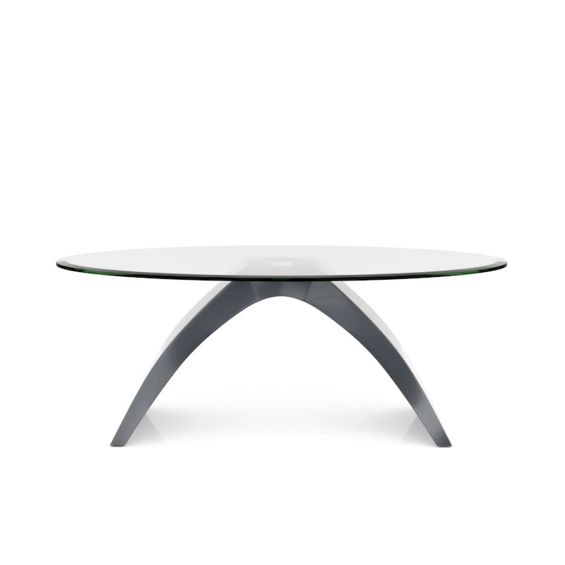 Table basse ovale moderne de 47 pouces avec plateau en verre