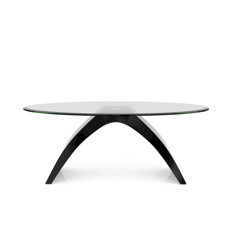 Table basse ovale moderne de 47 pouces avec plateau en verre