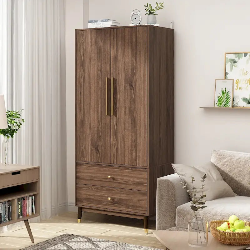 Armoire 2 portes en bois avec 2 tiroirs