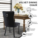 Chaises de salle à manger en velours, chaises d'appoint capitonnées sans accoudoirs en bois massif avec garniture cloutée et anneau de tirage au dos